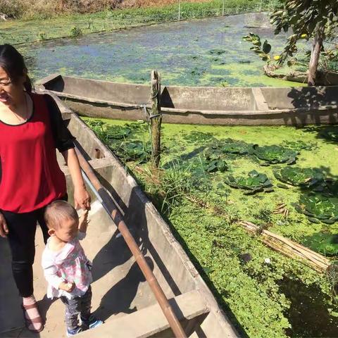 中秋月团圆乐团圆