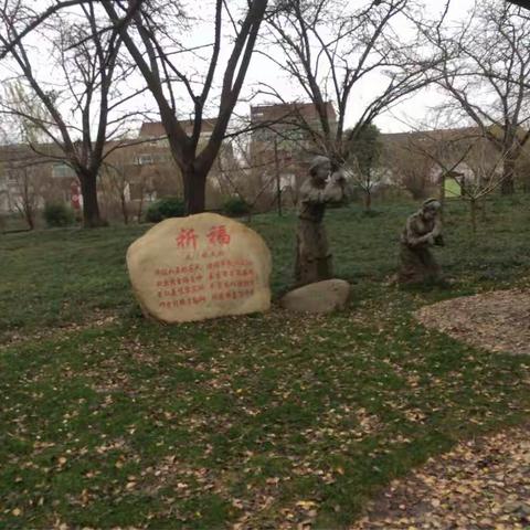 12月4日泰兴古银杏公园