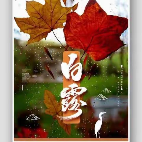 白露节气家乡语