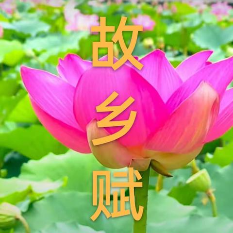 《故乡赋》文集图文