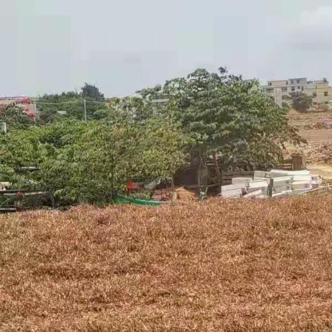 督办通知