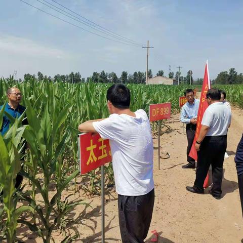 怀仁市专家团队深入田间地头  把脉施策双管齐下