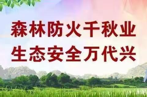 共享森林美景，严防森林火灾——华山镇六合小学森林防火宣传