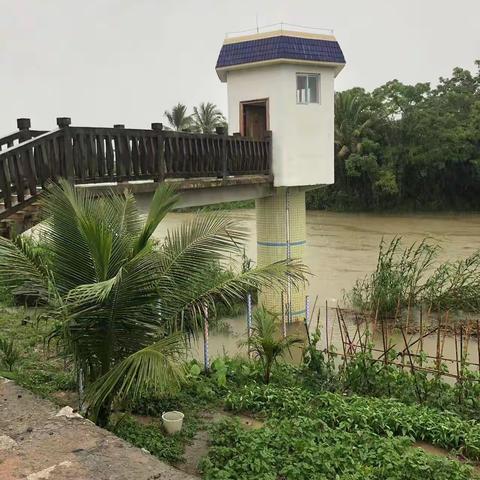 全力做好水文监测 当好六水共治尖兵——﻿东部大队应对“五一”强风雨天气开展防汛工作