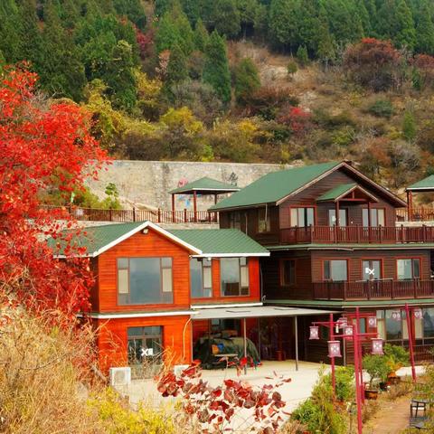 秋色九龙峪2022.10.27