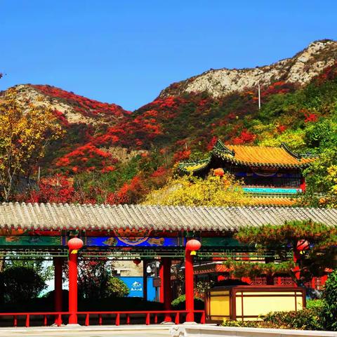 兵团岁月…49周年战友相聚在淄博 2021.6.20