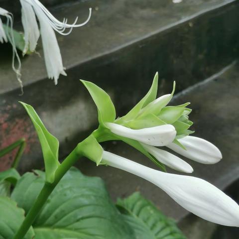 2021国庆《博山怡园》