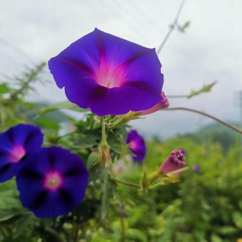 情系山区促发展   爱心捐赠暖人心