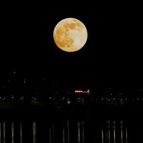 我与月亮的约定