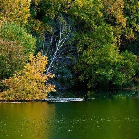 一个让人魂牵梦绕的地方                                            ——坝上