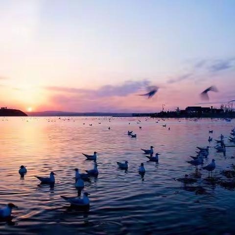 等你在冰雪消融季节