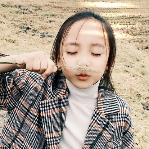 秋之韵，丰收的季节