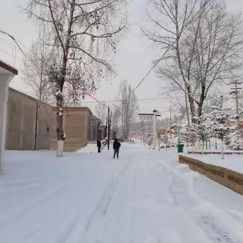 阳屲庄组织干部群众对道路积雪进行清扫，确保群众出行安全。