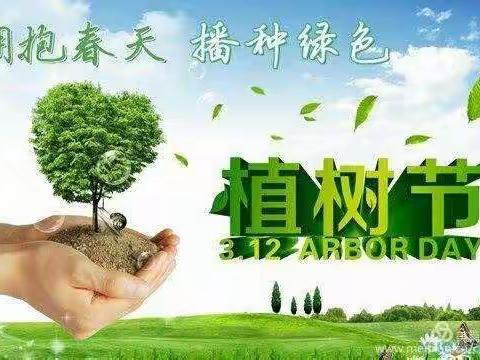 呵护绿色，守护地球———六六班植树节活动剪影