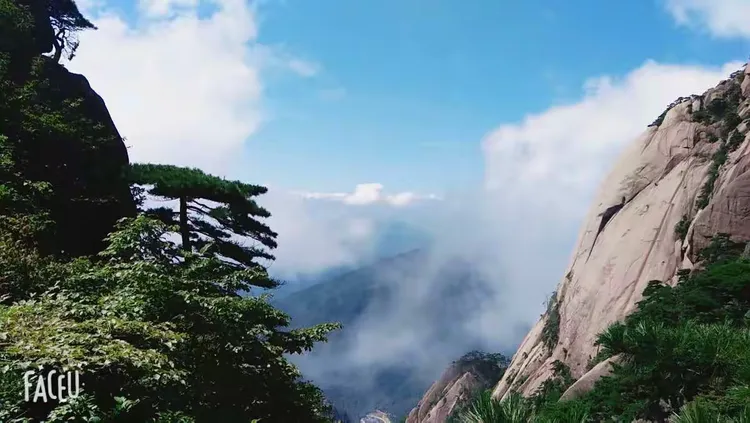 黄山的四大奇观：奇松，怪石，云海，冬雪，除了冬雪，我们都欣赏到了😁