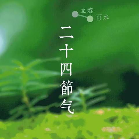 二十四节气·雨水丨“雨水润泽，万物清朗”——南堡一幼海月园雨水节气主题活动