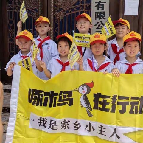 寻找错别字，啄木鸟在行动——晨曦小学东校区一（6）中队七星瓢虫小队活动