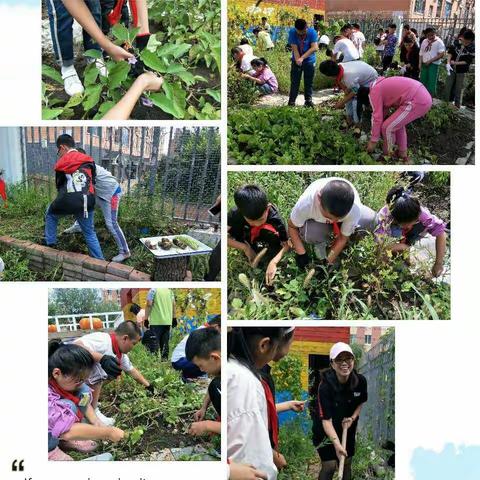 金桂飘香收硕果，重整沃土待明年——宽城区宋家小学“金秋收获节”综合实践活动报道