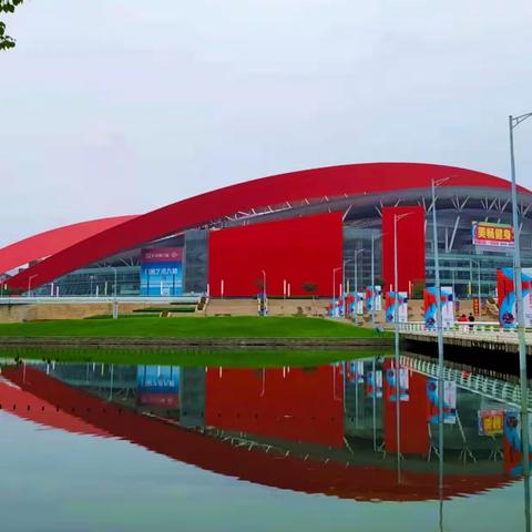 趣谈泳池众生相