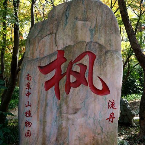 霜叶红于二月花