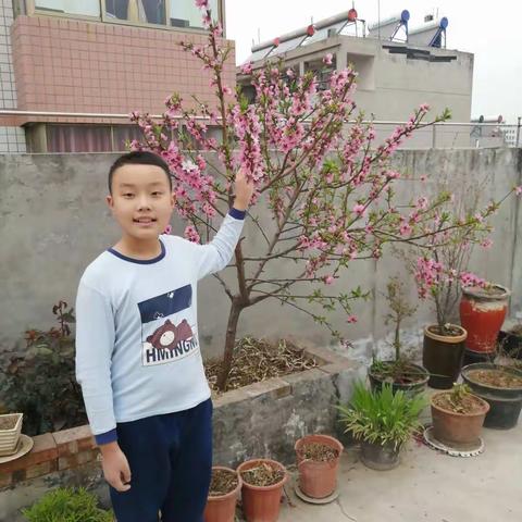 我的乐园———楼顶小天地                          实验小学四四班关旭宸