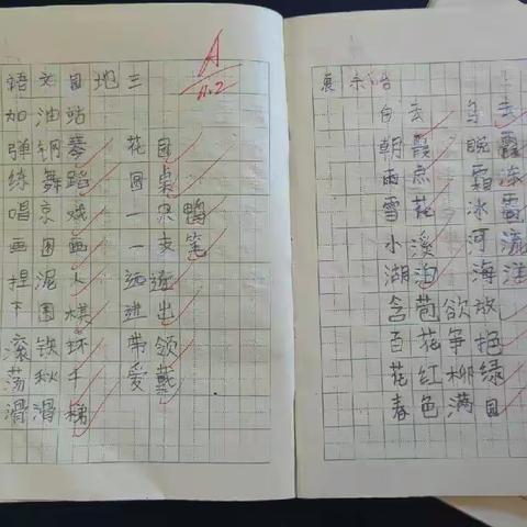 临春小学语文组11月教学常规检查反馈