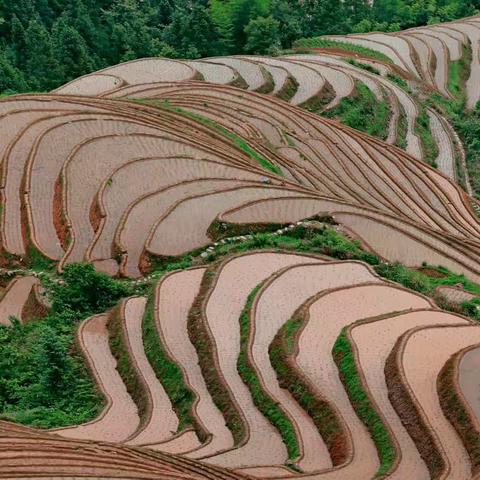 龙脊梯田