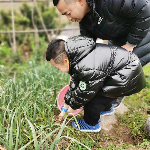走进田间，走向生活