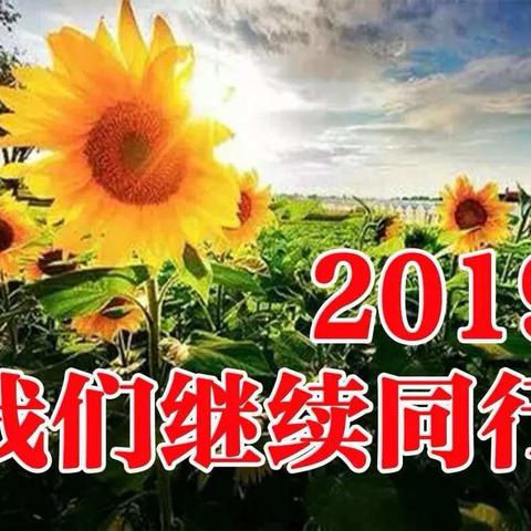 收获2018  期待2019