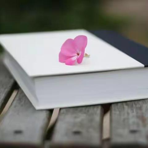 朱集镇梁庄小学“停课不停学”——家校共育 共谱华章