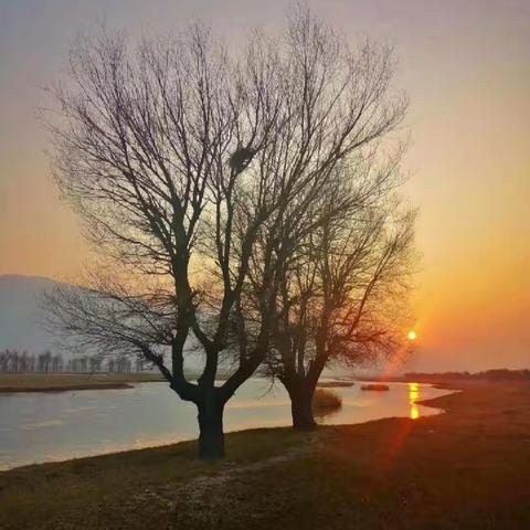 桑干古渡的感慨  …