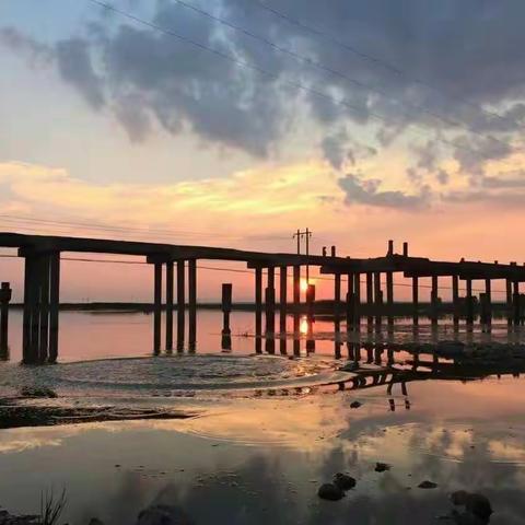 树高千尺也忘不了根