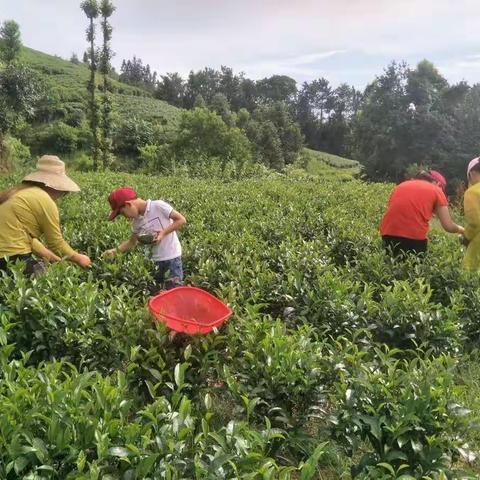 我的暑期生活