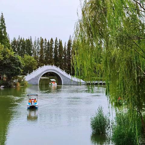 《小城春日》手机拍摄于邳州桃花岛