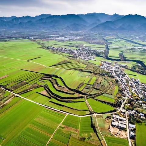 绘就底图·擘画蓝图——王曲街道启动国土空间总体规划编制工作