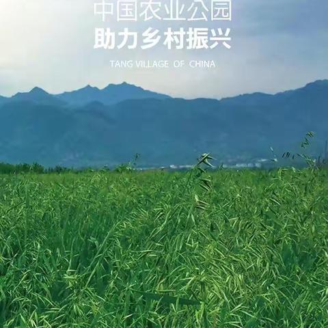 长安唐村中国农业公园创建办工作筹备会召开啦！