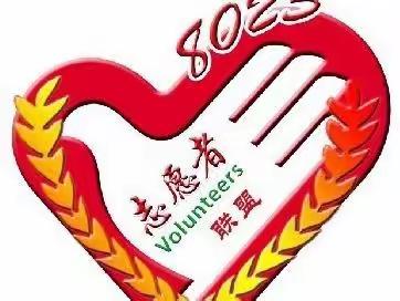 【踏雷锋足迹，做雷锋传人】青春志愿行  温暖回家路