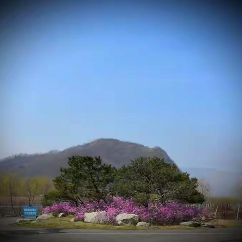 爱河生态园的春天来了