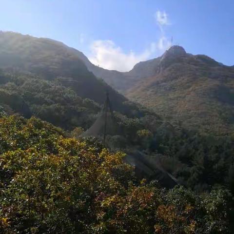 庚子年秋天上凤凰山