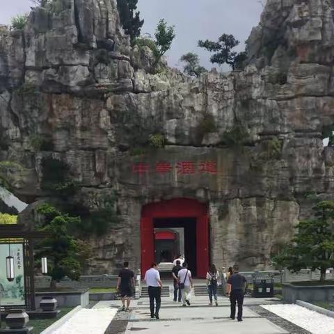 走进大自然、探索世界的奇妙！