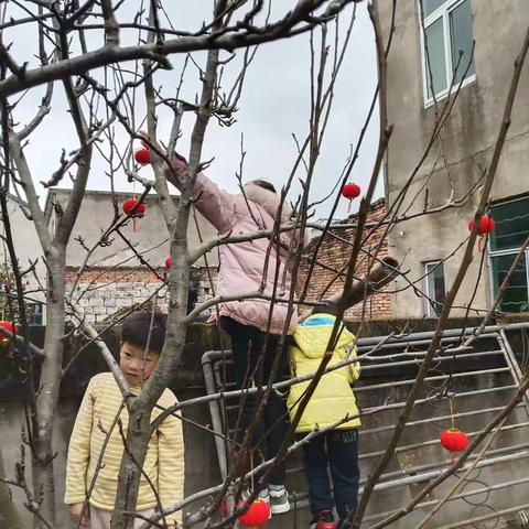 特别的新年，春节快乐