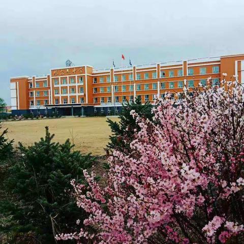 塔尔气中学2019年中考再创佳绩