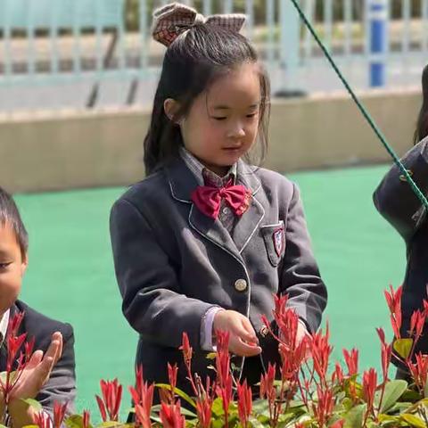 【荟景大一】春暖花开🌸