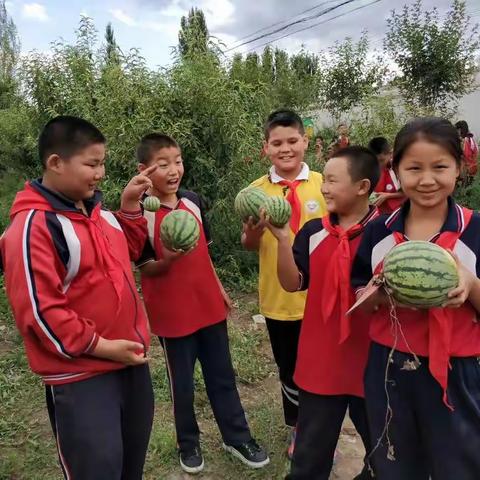 和硕县第五小学种植园实践活动