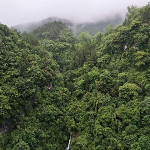 重庆·武隆印象