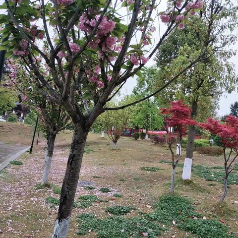 游红色圣地，览古镇风情