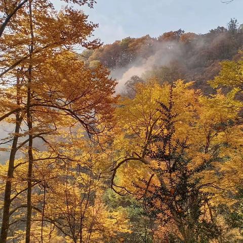 秋游 · 光雾山行记