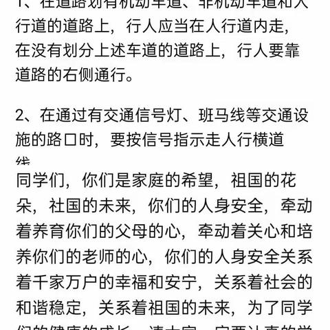 守法规知礼让  安全文明出行——南召中心校路村小学交通安全日专题活动