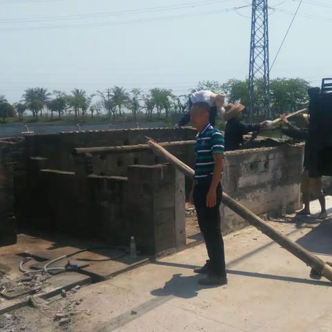 西秀镇环保网格员工作日报