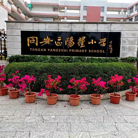 阳翟小学假日小分队——《以花之名 共赴花事》